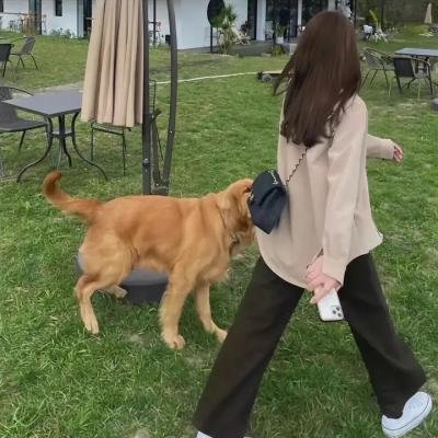 脱线教父